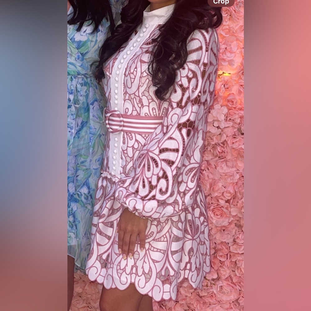 Pink lace long Sleeve Dress Intricate Design